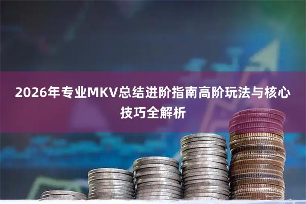 2026年专业MKV总结进阶指南高阶玩法与核心技巧全解析